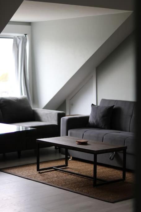 Unique Modern Luxury 2 Bedroom Apartment Rental Chapleau Екстериор снимка